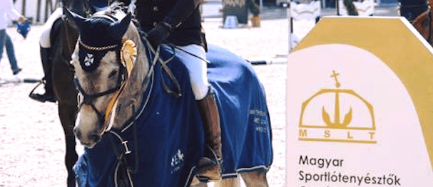 Makay Horse fotógaléria – 6